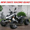 250CC EEC ATV 250CC EEC QUAD 250CC EEC QUAD BIKE